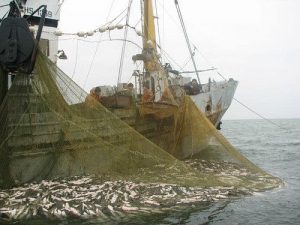 Прикордонники видворили іноземні шхуни