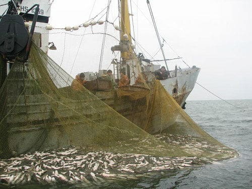 Прикордонники видворили іноземні шхуни