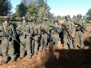 Інженерні батальйони штурму та розгородження