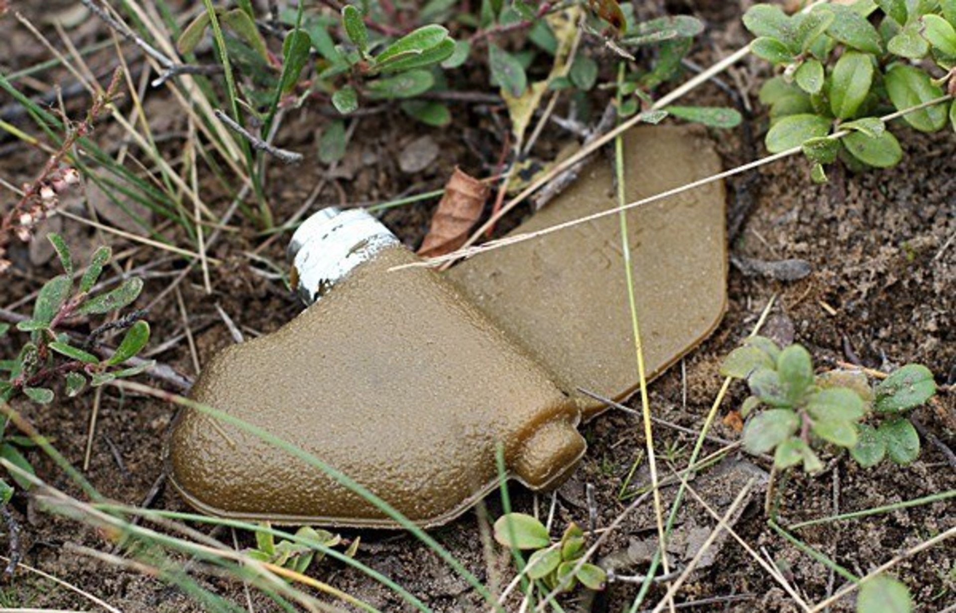 Протипіхотна міна ПФМ-1