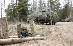 Через пандемію Естонія частково відмінить збори резерву