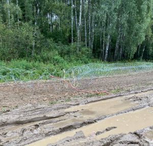 У Польщі заявляють про руйнування огорожі на кордоні з Білоруссю