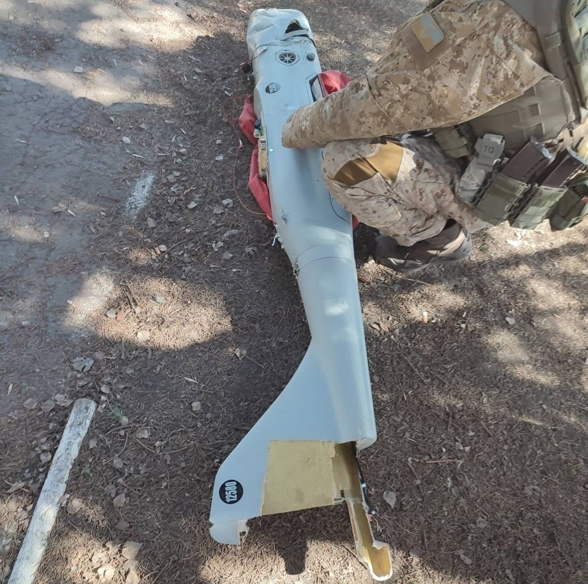 Soldiers of the Mountain Assault Brigade have hunted down the russian Orlan-10 UAV