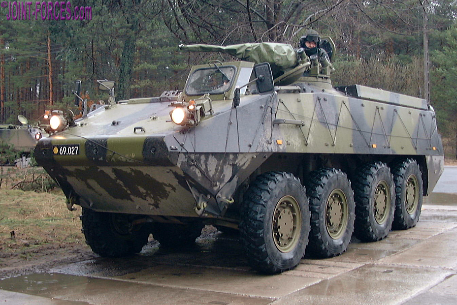 Denmark will hand over the Piranha III wheeled armored personnel carriers to Ukraine