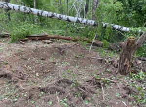 The Russians continue to shell the border areas of the Chernihiv and Sumy regions