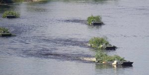 Військові Білорусі відпрацьовують подолання водних перешкод