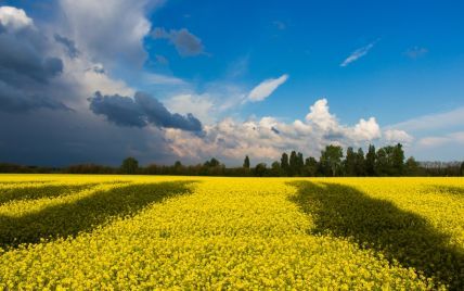 Коли закінчиться війна?