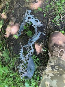 The invaders fired with artillery and attack aviation on the Chernihiv and Sumy regions