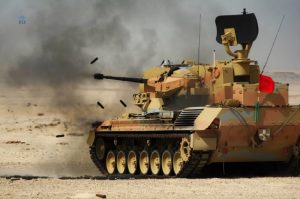 Німеччина передасть Україні додаткові Gepard