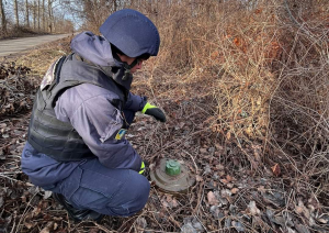 Словенія надасть Україні допомогу на розмінування