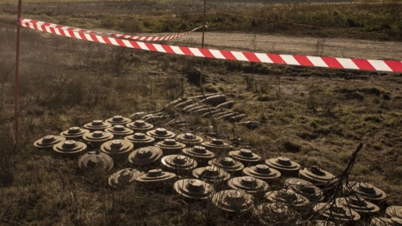 Австрія допоможе Україні у розмінуванні