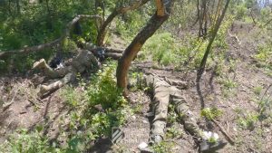 Armed Forces of Ukraine neutralized invaders and took POWs near Bakhmut