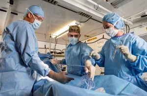 Rheinmetall to supply Ukraine with two Forward Surgical Team stations