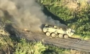 Russian positions near Kozachi Laheri are being destroyed