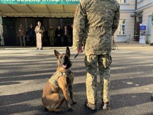 EU Delivers Explosives Dogs and Drones to Ukrainian Armed Forces for Demining