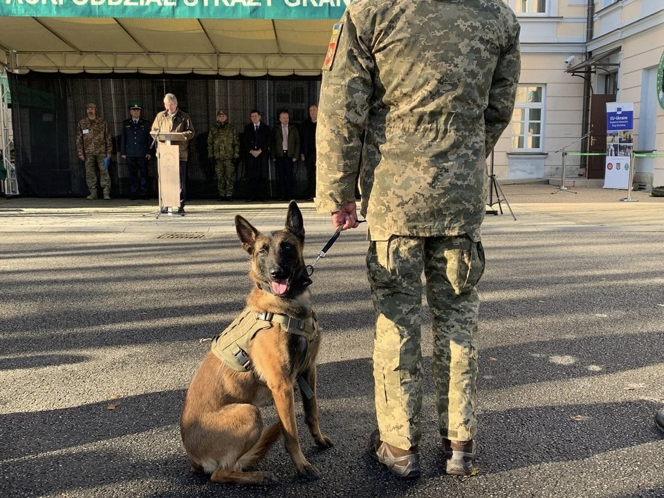 Євросоюз передав Збройним Силам партію собак-саперів та дронів для розмінування