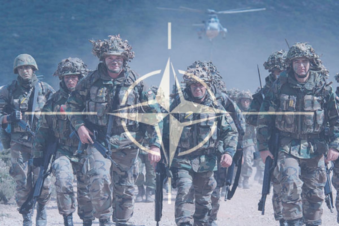 Treaty on Conventional Armed Forces in Europe: NATO countries suspend participation