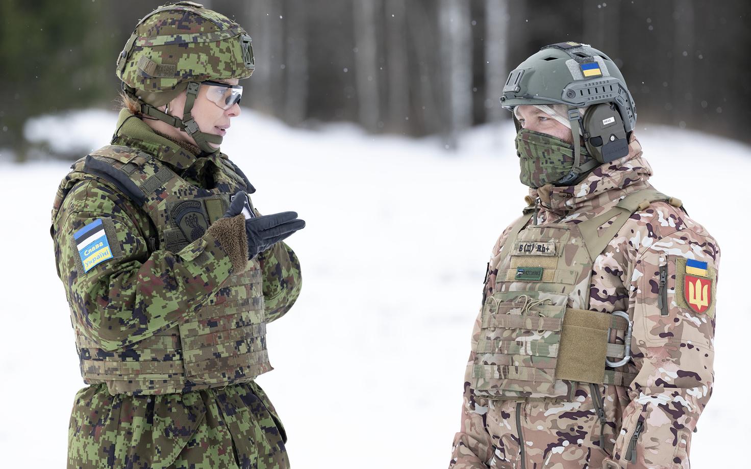 Estonia will join the Operation Interflex for the training of Ukrainian military