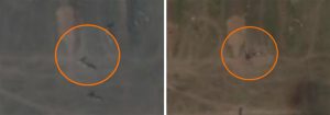 Satellite images showing the aftermath of a new strike on the airfield in Crimea have been released