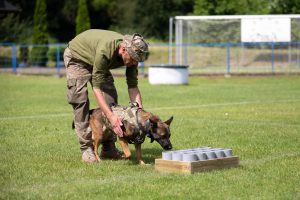 EU Provides Ukraine with 12 Mine Detection Dogs to Aid in Demining