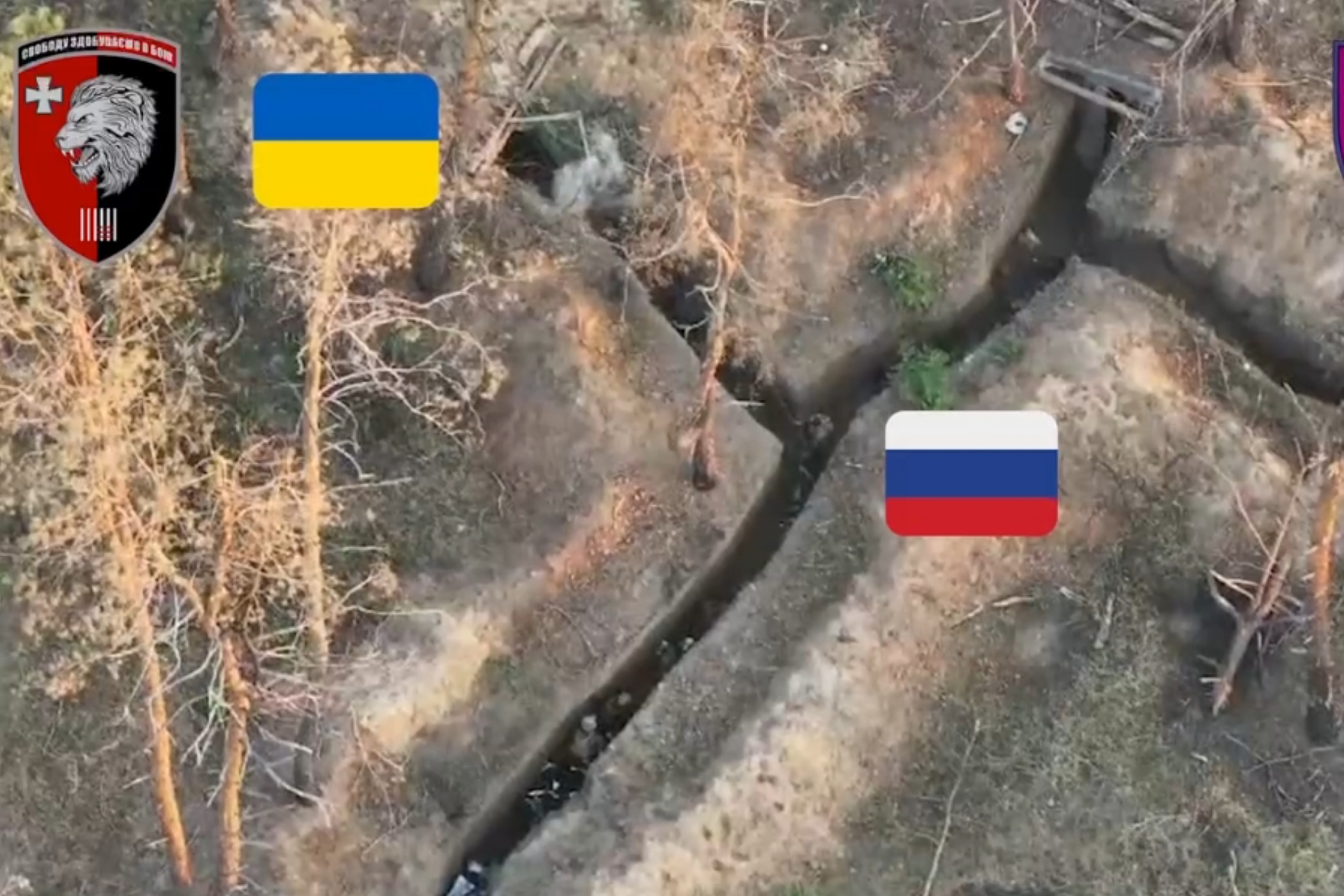 Ukrainian troops destroyed Russian assault group in Serebryansky forest