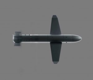 Lithuania allocates €10 million for the purchase of the Palianytsia missile-drone