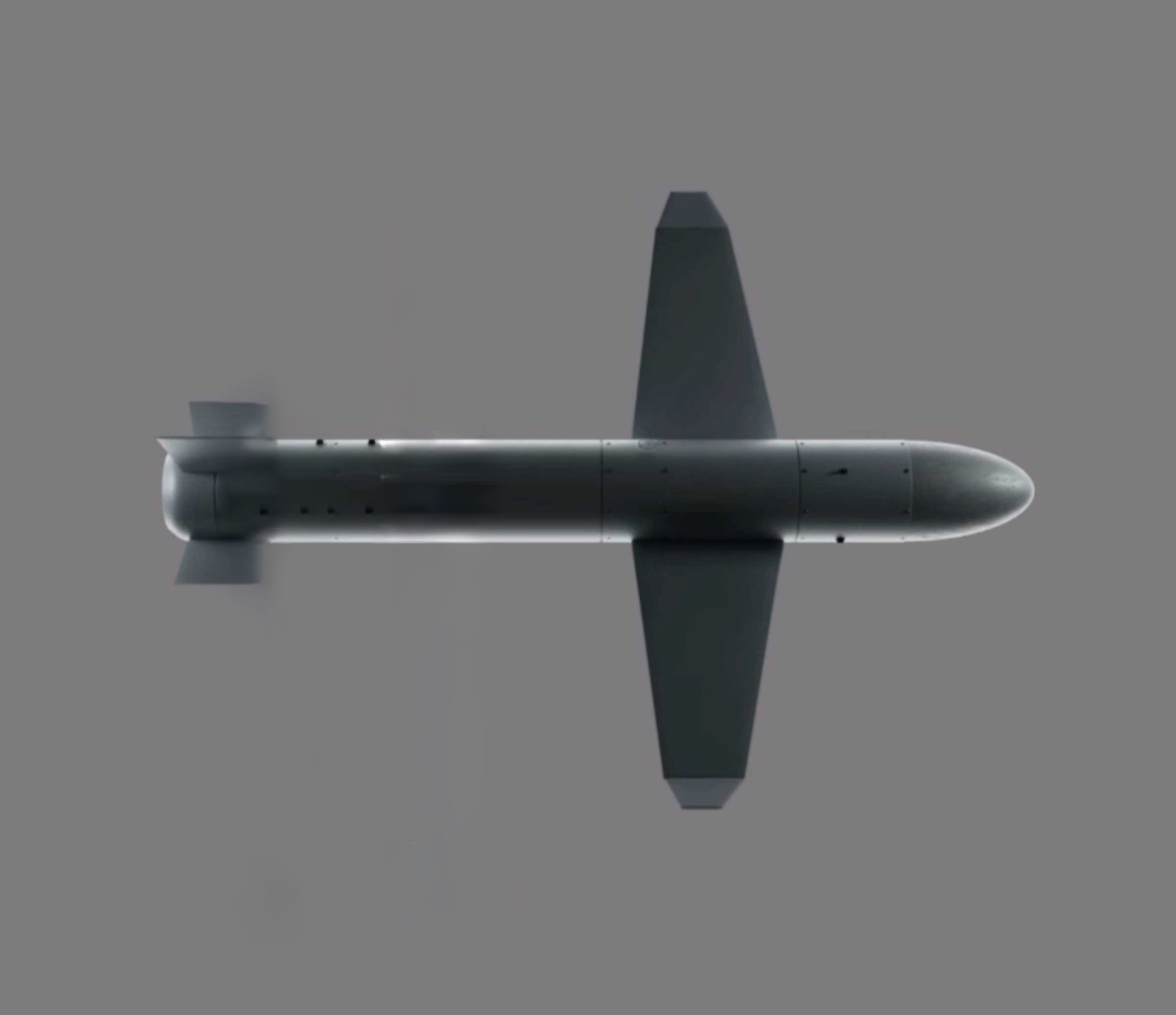 United24 releases the appearance of the Palianytsia missile-drone