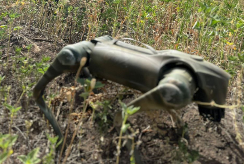 Ukrainian Soldiers Use Robodogs for Reconnaissance