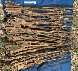 Ukrainian Border Guard Service Finds World War I Weapons Cache