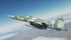 У Бразилії розбився винищувач F-5