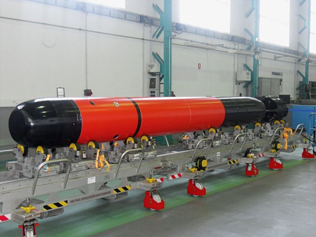F21 torpedo. Photo from open sources