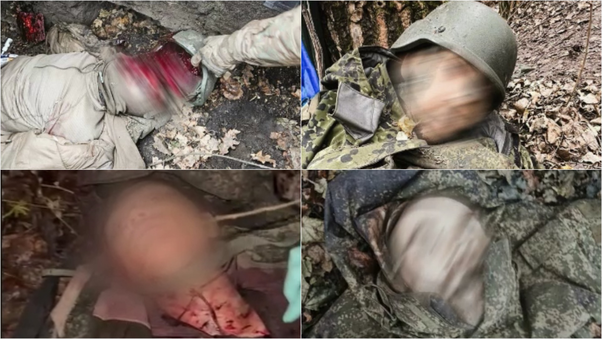 Ліквідовані сили Росії/КНДР на Курщині бійцями 6-го окремого полку рейнджерів. Березень 2025. Джерело: telegram полку