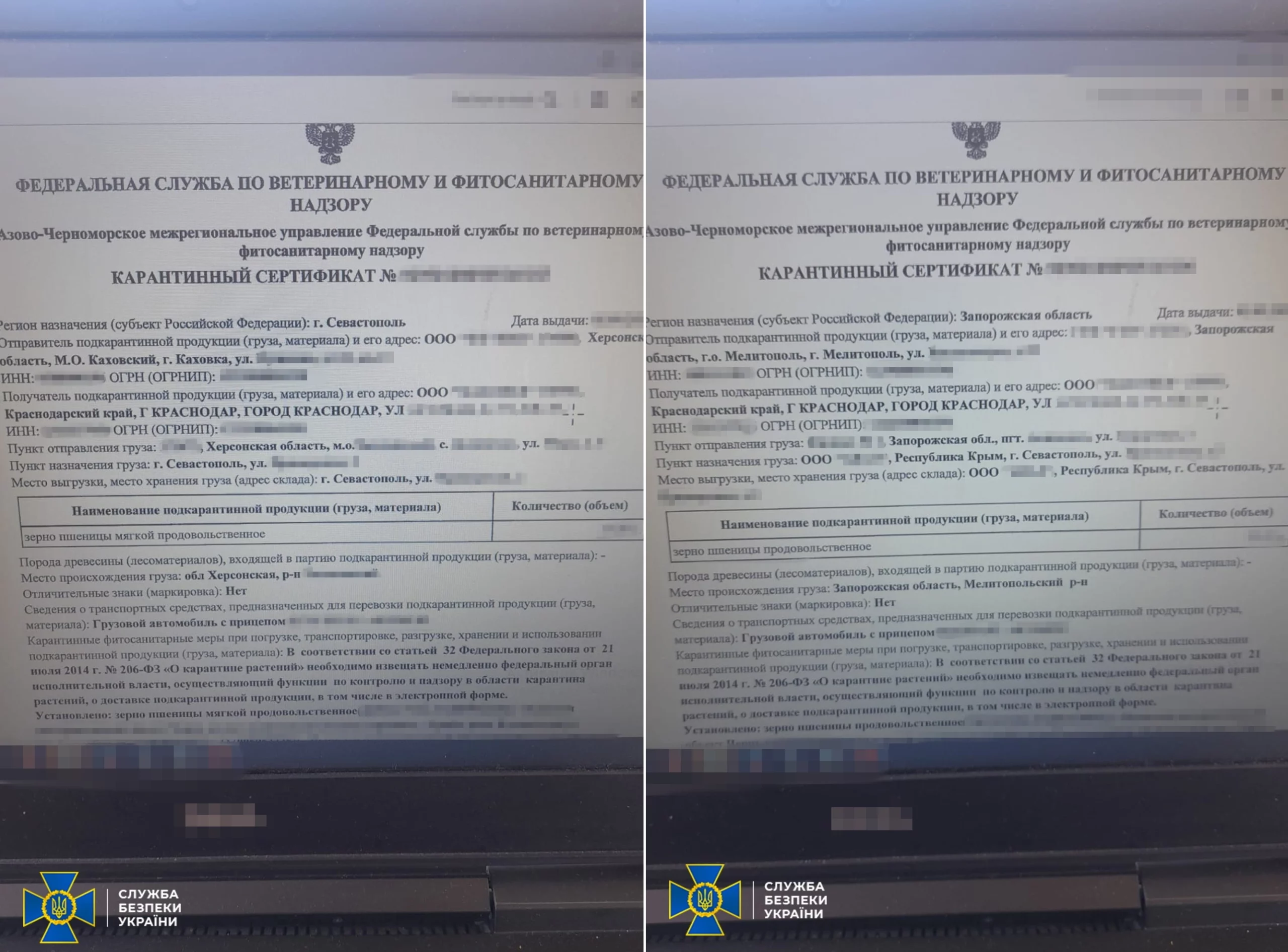 Оприлюднені документи щодо затриманого російського судна, яке перевозило українське зерно. Квітень 2025. Чорне море. Джерело: СБУ