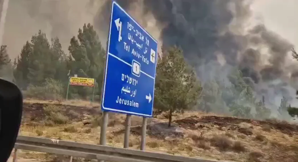 Великі лісові пожежі вирують поблизу Єрусалима. Одна з версій — підпал