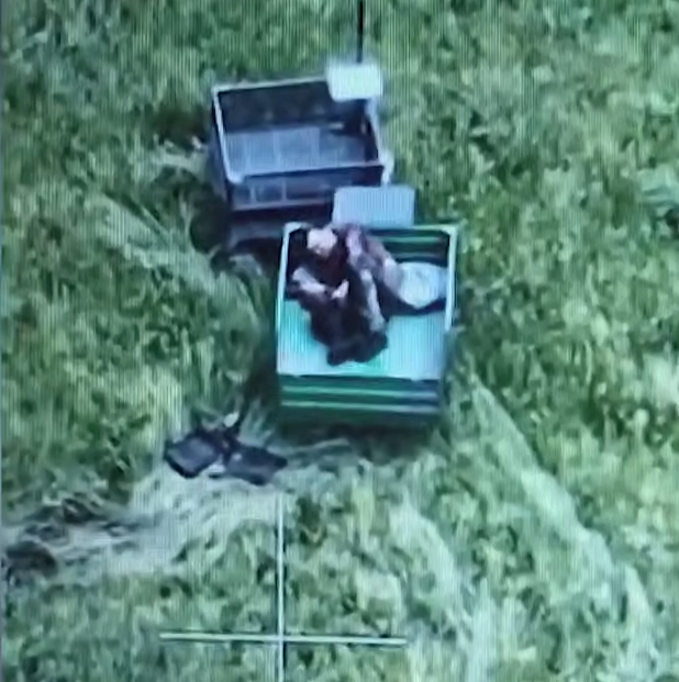 Evacuation of the wounded Ukrainian soldier from the front line with the help of an UGV. Freeze frame from the video of the K-2 Regiment 