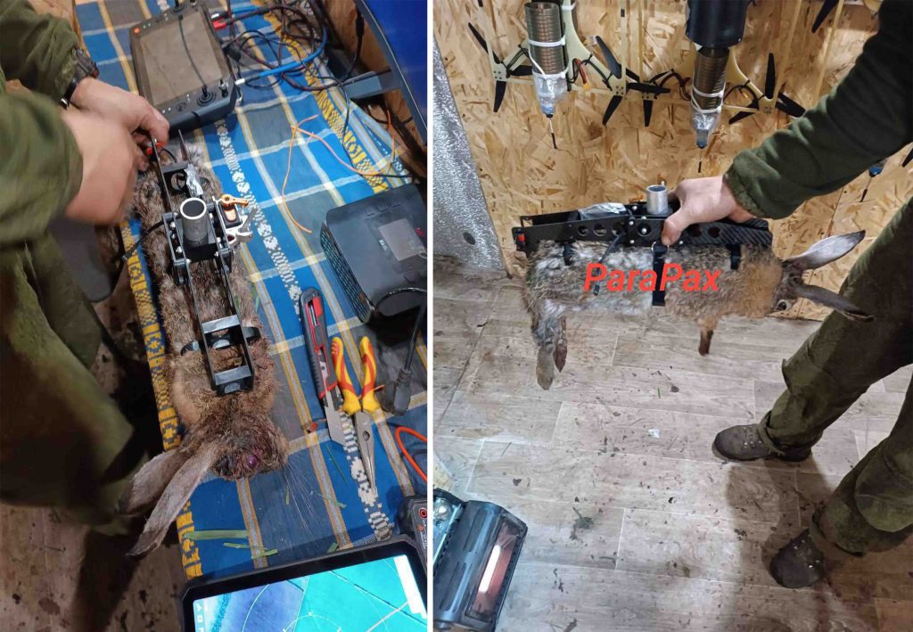 Туша зайця з встановленою вибухівкою. Фото: Para Pax