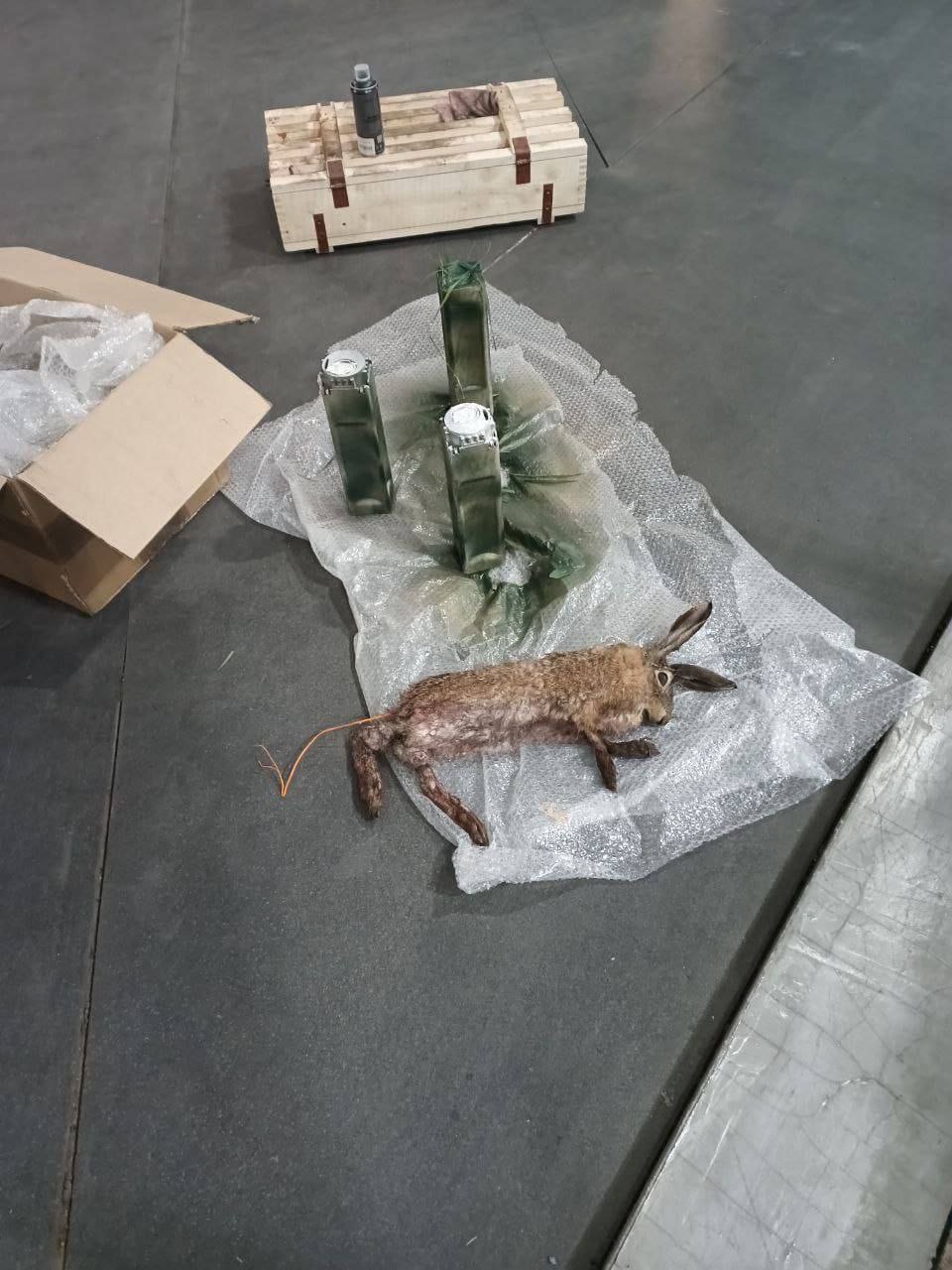 Росіяни начиняють туші звірів вибухівкою, для скиду з дронів 