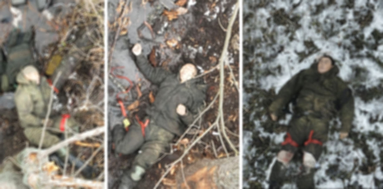Eliminated North Korean soldiers. Photo credits: @marshalvdv