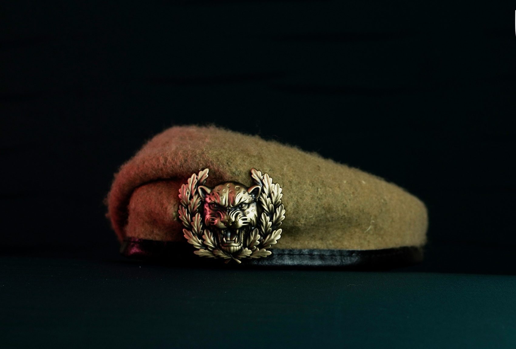 The beret of a stormtrooper of the 225th Regiment with the cockade of the new type of troops. Photo credits: 225th Separate Assault Regiment