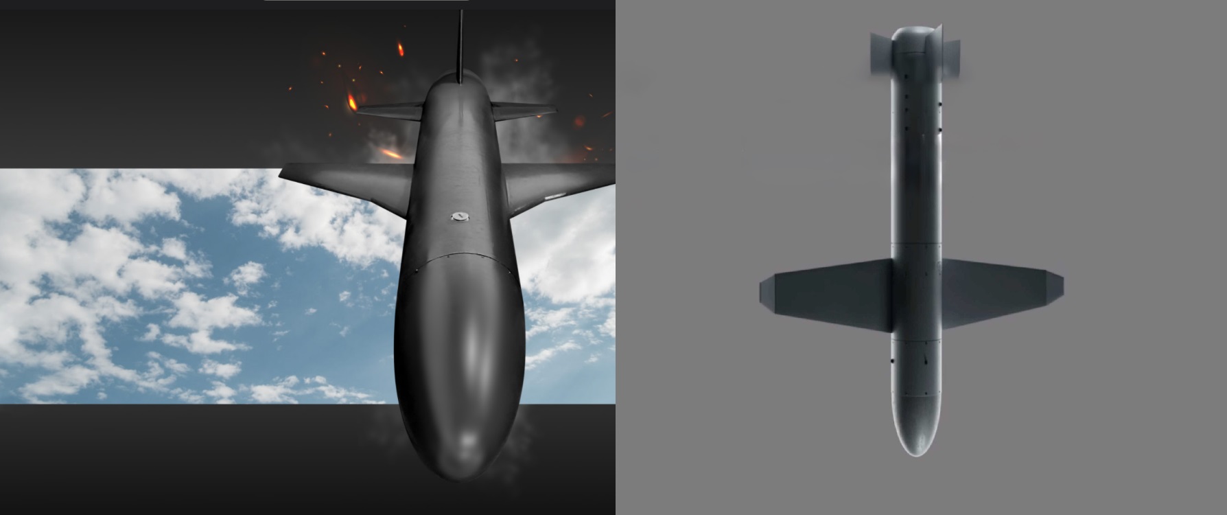 A graphical representation of the Palianytsia drone and its last year's model.