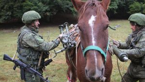 В армії РФ вирішили воювати на конях