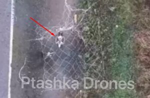 New Defense Tactic: Ptashka Drones’ Nets Ambush Russian Drones