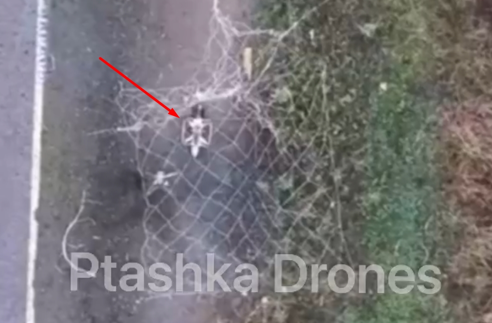 New Defense Tactic: Ptashka Drones’ Nets Ambush Russian Drones