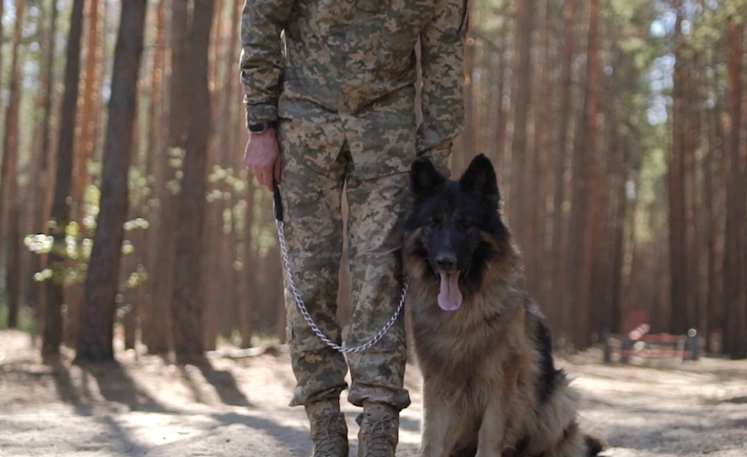 225 ОШП покращив підготовку військових собак до місій завдяки новому спорядженню