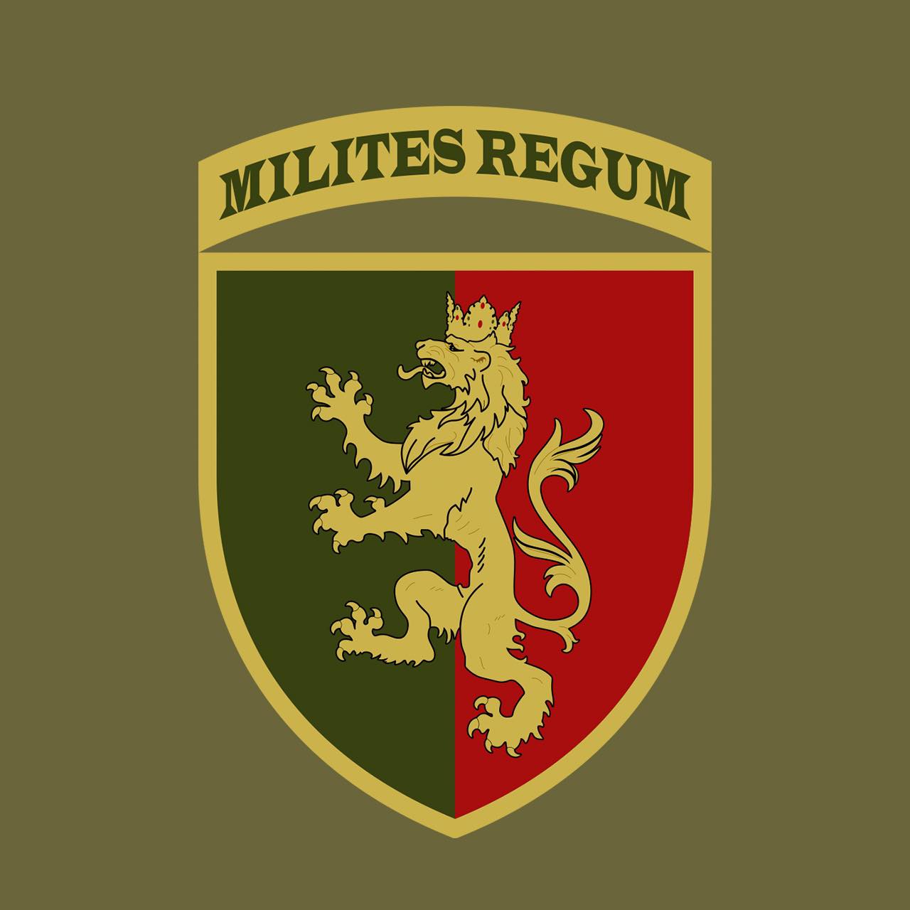 Шеврон 24 ОМБр. Джерело: 24 ОМБр