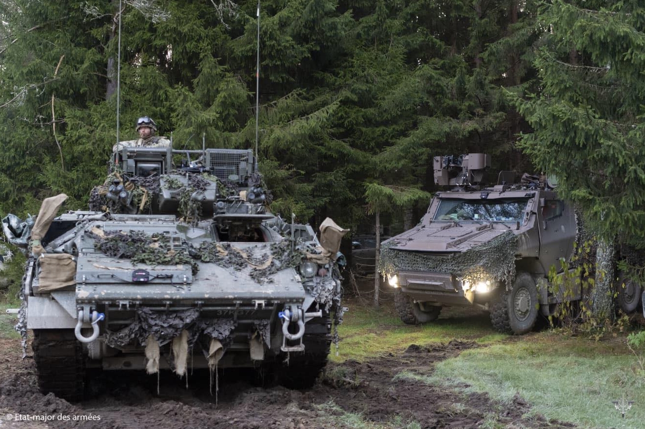 VBMR Griffon та БМП Warrior на навчаннях BOLD PANZER. Жовтень 2025. Джерело: Armée française