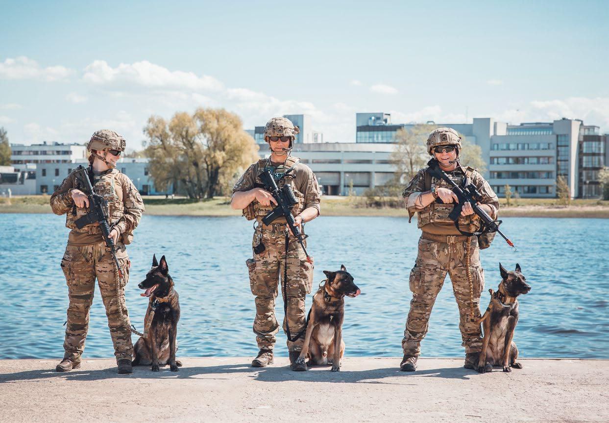 У Данії побільшало добровольців до Домашньої гвардії через безпілотники над країною