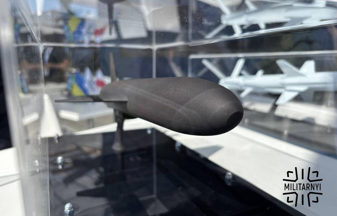 Ukraine Started Firing Palianytsia Drone Missiles at Russian Warehouses