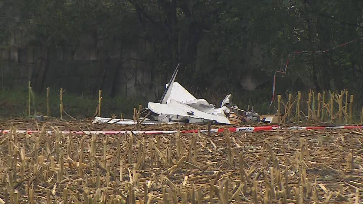 Number of Drones That Flew Into Poland in September Exceeded Official Figure: 21st Gerbera Found