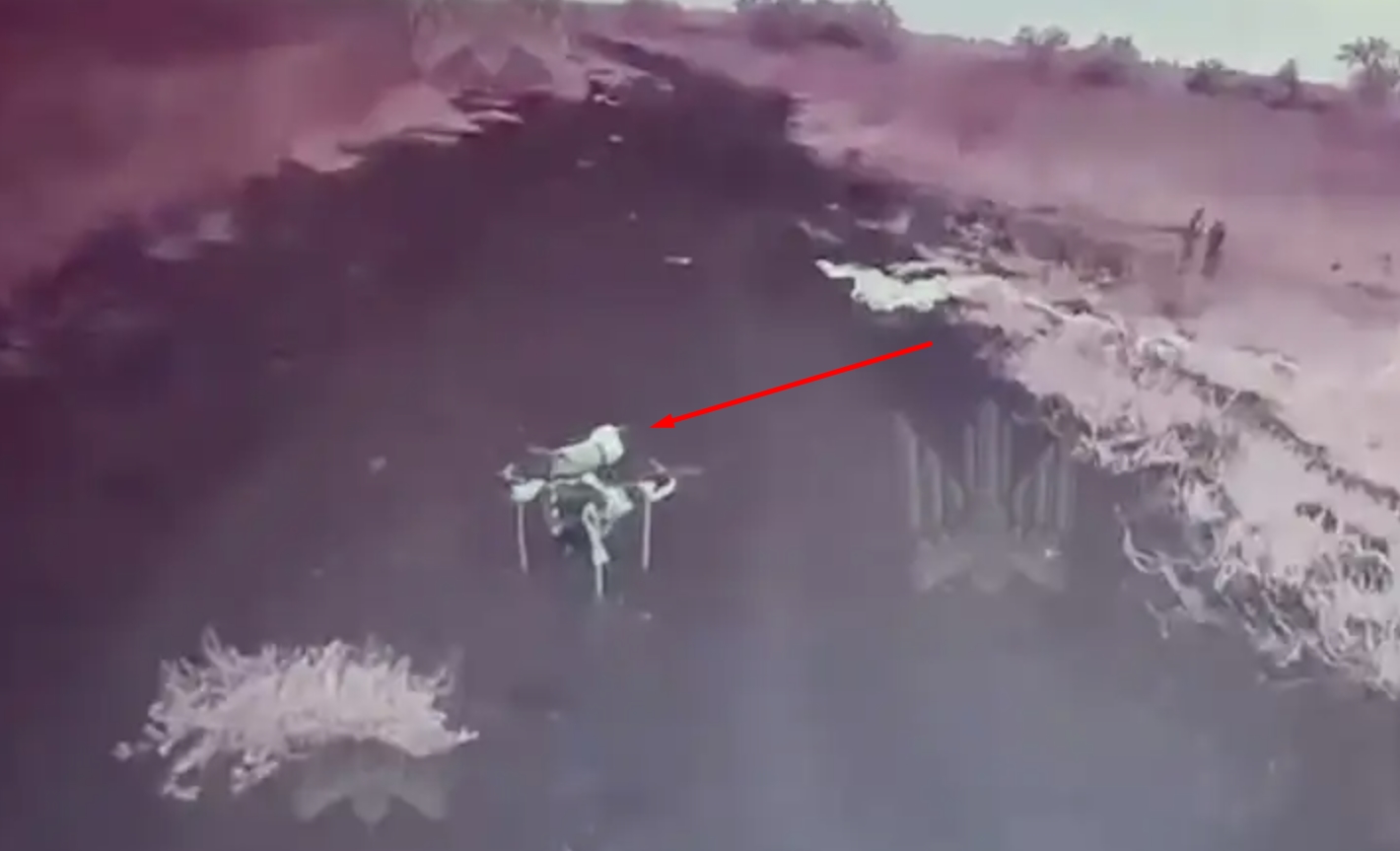 A Russian dormant FPV drone captured by a Ukrainian drone’s camera. Photo credits: Magyar Birds